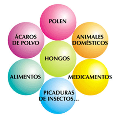 Alergología en Móstoles - servicios de Clínica Inresa