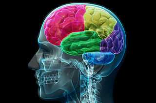 Neurología en Móstoles - Clínica Inresa